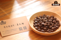 Costa Rica Beethoven Mozart Bach Chopin Coffee Flavor Characteristics - Musician Coffee Bean Stories