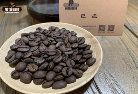 Major Coffee Growing Regions in Brazil, What Are the Characteristics of Brazilian Coffee?