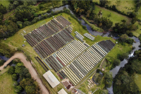 Ethiopia | Exploring Sidamo Coffee Regions: Guji and Hamauch Coffee