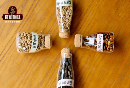 The Difference Between Honey and Natural Process Coffee Beans: Which Processing Method Produces Sweeter Coffee?