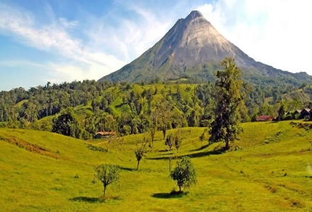 Introduction to Costa Rica Tarrazú Region, H1 Variety, and Canet Estate Musician Series Mozart