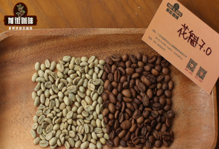 New Harvest Sidamo Natural Process Guji 7.0 Coffee Beans: Hambella Guji Coffee Flavor Profile