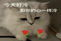 Free Coffee Trivia: The Origin of Drip Coffee, Who Invented Cold Brew Coffee, and Where Does Arabica Originate?