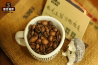 Panama Aurora Estate Ironman Geisha Coffee Beans: Pour-Over Flavor Profile and Brewing Guide