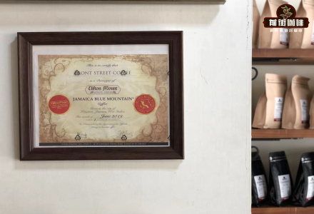 What is Blue Mountain Coffee? What does Jamaican Blue Mountain Coffee offer? And what is CIB?