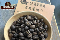 Tiger Mandheling Coffee Flavor and Brewing Guide - Tiger Mandheling Bean Characteristics & Story
