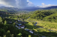 Introduction to Elida, Don Pepe, and Luisito Estates: 2024 BOP Best Producer Award Winners