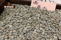 Famous Coffee Bean Varieties: Jamaica Blue Mountain Coffee Flavor Profile and Grade Introduction