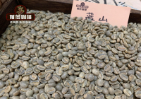 Famous Coffee Bean Varieties: Jamaica Blue Mountain Coffee Flavor Profile and Grade Introduction