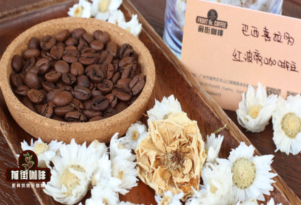 Introduction to Famous Brazilian Coffee Brands Santos and Cerrado: Are Brazilian Beans Soft in Pour-Over Taste?