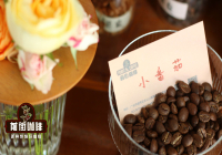 Which Kenya Coffee Brand is the Best? A Guide to Properly Brewing Kenyan Black Coffee