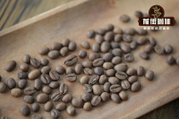 What's the Difference Between G1 and G2 Grade Yirgacheffe? Ethiopian Coffee Bean Grading System