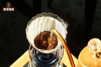 The Difference Between Pour-Over Coffee Bloom Times! How Much Water Should You Use for Drip Coffee Blooming? Blooming Tips for Coffee Brewing! How Long Should You Bloom Pour-Over Coffee?