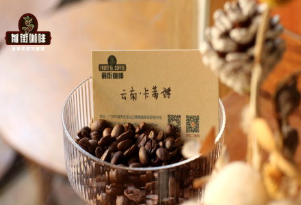 Flavor and Taste Characteristics Differences Between Yunnan Coffee Bean Varieties: Tipica and Catimor