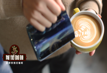How Can Beginners Practice Coffee Latte Art from Scratch? A Guide to Latte Art Techniques
