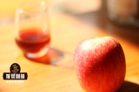 Specialty Coffee Brewing Tutorial: How to Make Apple Water Brewed Coffee