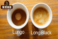 Can You Tell the Difference Between Lungo, Long Black, and Americano?