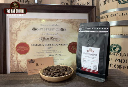 How to Make Pour-Over Coffee with Jamaica Blue Mountain Coffee - Brewing Steps, Flavor Profile and Taste Description
