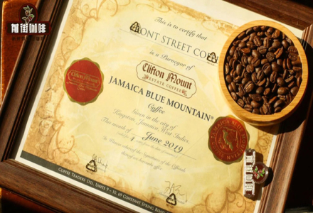 Specialty Coffee Bean Recommendation: What's the Difference Between Jamaica Blue Mountain Coffee and Gesha Coffee?