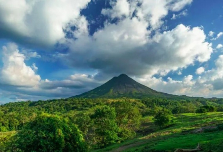 What are the famous estates in Costa Rica's Tarrazú region? What are their characteristics?