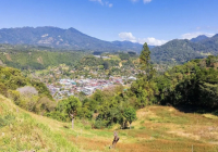 Where is Panama's Coffee Region Located? Where is the Renowned Elida Estate?