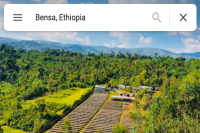 Coffee is Traditional Chinese Medicine for Wellness! Ethiopian Sidamo is the Best Proof!