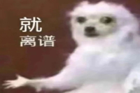 Must-Read for Coffee Lovers! 15 Fascinating Coffee Facts That Tell the Story of Its History and Development