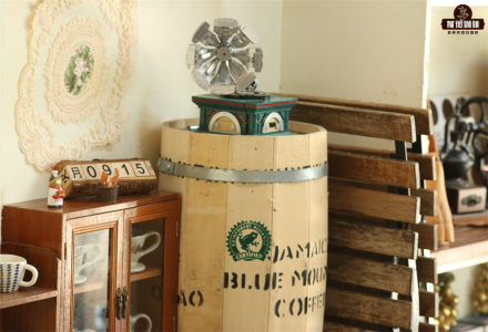 What's the Difference Between Blue Mountain Coffee and Espresso? Which Tastes Better? An Introduction to Authentic Blue Mountain Coffee Bean Flavor - Is It Acidic?