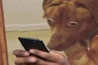 Is Iced Pour-Over Coffee Made with Cold Water? What's the Extraction Principle of Japanese Iced Pour-Over vs Hot Pour-Over? How to Brew?