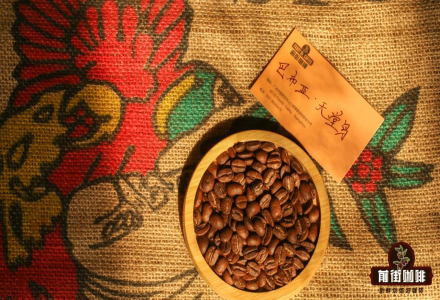 Papua New Guinea Blue Mountain Flavor Coffee Beans Characteristics Story Brewing Tutorial