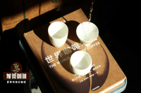 Professional Coffee Tasting Knowledge: Why Do Different Cups Affect the Taste of Coffee?