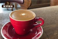 What's the Difference Between Luckin's Premium Flat White and Regular Flat White - Why Can Flat White Coffee Only Be Served Hot? Top 10 Best-Tasting Drinks at Luckin Coffee