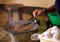 Unique Ethiopian Coffee Cultural Traditions and Flavor Characteristics of Ethiopian Origin Coffee Beans