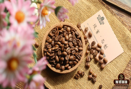 Sidamo Pour-Over Guji Parameters Introduction How to Determine Temperature and Grind for Moka Pot Coffee