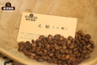 The Story of Flower Queen Coffee: Exploring the New Season Ethiopian Sidamo Hambella Flower Queen 6.0 Characteristics