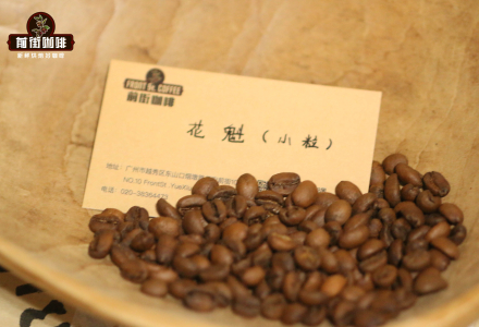 The Story of Flower Queen Coffee: Exploring the New Season Ethiopian Sidamo Hambella Flower Queen 6.0 Characteristics