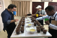 Introduction to Flavor Characteristics of Geji Habela Coffee from Ethiopia's Producing Region