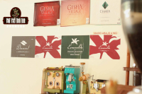 The History of Geisha Coffee: Origin and Development of the Geisha Coffee Variety