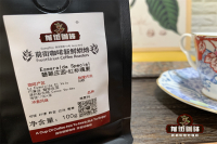 Introduction to Panamanian Coffee Bean Flavor and Taste Characteristics - What Grade is Panamanian Geisha Coffee and Why is it So Popular