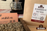 Introduction to Kenya Coffee Bean Varieties and Cultivation in Kenyan Coffee Regions