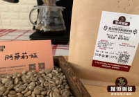 Introduction to Kenya Coffee Bean Varieties and Cultivation in Kenyan Coffee Regions