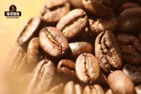 What Makes a Mandheling a Golden Mandheling? What is the Relationship Between PWN Coffee Company and Sumatra?