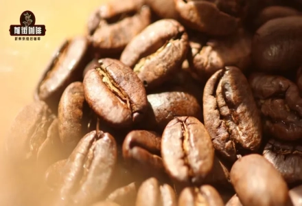 What Makes a Mandheling a Golden Mandheling? What is the Relationship Between PWN Coffee Company and Sumatra?