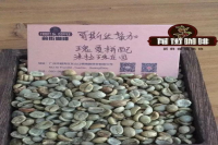 What are the different types of Geisha coffee? Flavor evaluation of Mirasu raisin-processed Geisha coffee, Costa Rican Geisha.