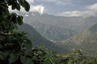 Guatemala | Introduction to Selected Coffee Beans from Coffee Growing Regions