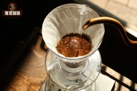 Why is Blooming Necessary in Pour-Over Coffee? Why Does the Water for Degassing Use Double the Amount of Coffee? What Determines Coffee Concentration?