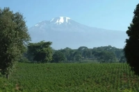 Introduction to Kigoma Coffee Region in Tanzania, Africa