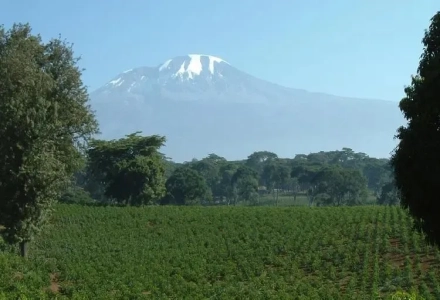 Introduction to Kigoma Coffee Region in Tanzania, Africa