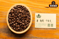 Introduction to Costa Rican Cup of Excellence Winning Estates: What Are the Characteristics of Don Mayo Estate's Geisha Variety?