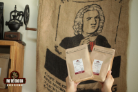 Costa Rican Coffee Beans: Exploring the Distinctions Between Canet Estate Musician Series Bach and Mozart Varietals
